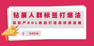钻展人群标签打爆法，高投产ROL收割打造高权重店铺(全程实操)-天天有课网