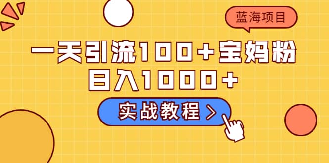 一天引流100+宝妈粉，日入1000+的蓝海项目（实战教程）-天天有课网