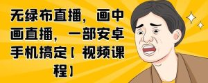 无绿布直播，画中画直播，一部安卓手机搞定【视频课程】-天天有课网