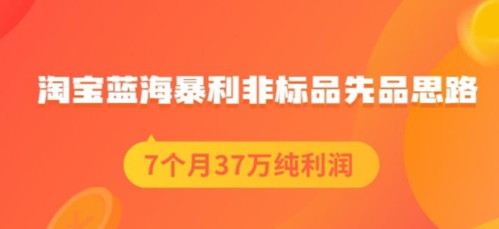 盗坤淘宝蓝海暴利非标品先品思路，7个月37万纯利润，压箱干货分享！【付费文章】-天天有课网