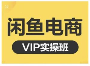 闲鱼电商零基础入门到进阶VIP实战课程，帮助你掌握闲鱼电商所需的各项技能-天天有课网
