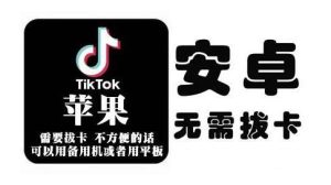 tiktok海外版短视频操作教程(苹果/安卓)，帮助国内也能刷海外版抖音-天天有课网