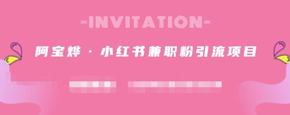 阿宝烨·小红书兼职粉引流项目，流量大，引流效果好【视频课程】-天天有课网