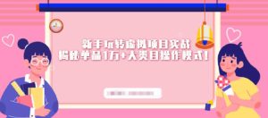 新手玩转虚拟项目实战，揭秘单品1万+大类目操作模式【视频课程】-天天有课网