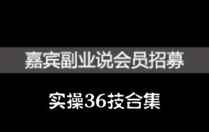 嘉宾副业说实操36技合集，价值1380元-天天有课网