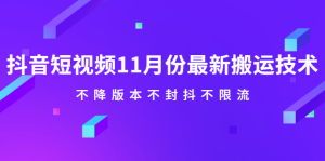 抖音短视频11月份最新搬运技术，不降版本不封抖不限流！【视频课程】-天天有课网
