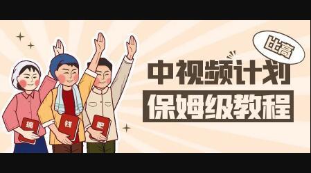 中视频项目，目前靠这个项目养了11人团队【视频课程】-天天有课网