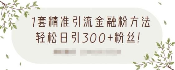 1套精准引流金融粉方法，轻松日引300+粉丝【视频课程】-天天有课网