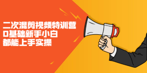 二次混剪视频特训营，0基础新手小白都能上手实操，两天开干-天天有课网