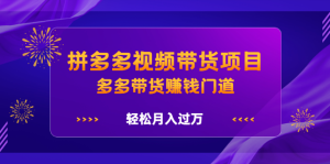 拼多多视频带货项目，多多带货赚钱门道 价值368元-天天有课网
