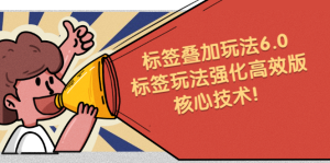 鬼式标签叠加玩法6.0-标签玩法强化高效版，核心技术-天天有课网