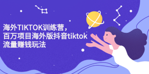 海外TIKTOK训练营，百万项目海外版抖音tiktok流量变现玩法-天天有课网