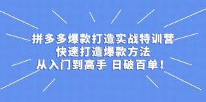 拼多多爆款打造实战特训营：快速打造爆款方法，从入门到高手 日破百单-天天有课网