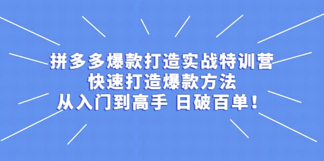 拼多多爆款打造实战特训营：快速打造爆款方法，从入门到高手 日破百单-天天有课网
