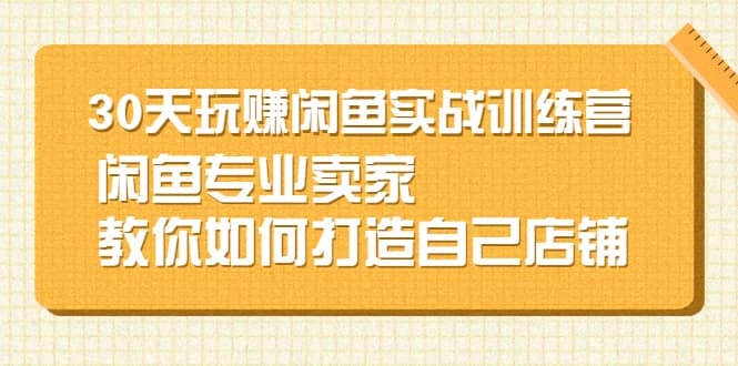 30天玩赚闲鱼实战训练营，闲鱼专业卖家教你如何打造自己店铺-天天有课网