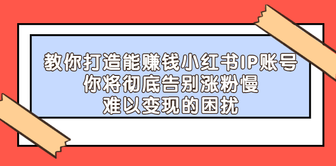 教你打造能赚钱小红书IP账号，了解透彻小红书的真正玩法-天天有课网