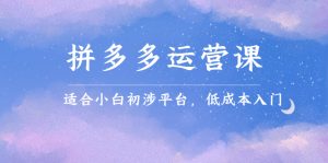 拼多多运营课，适合小白初涉平台，低成本入门-天天有课网