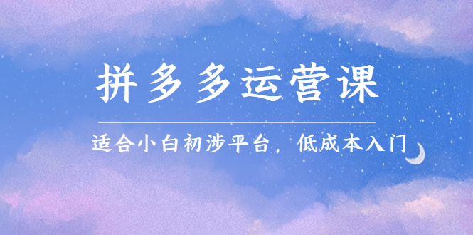 拼多多运营课，适合小白初涉平台，低成本入门-天天有课网