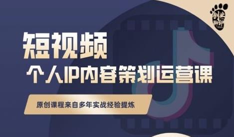抖音短视频个人ip内容策划实操课，真正做到普通人也能实行落地-天天有课网