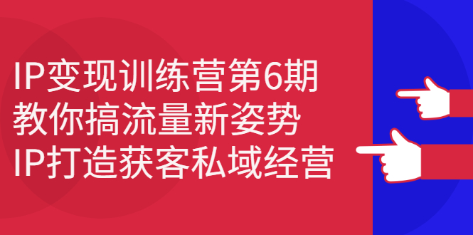 IP变现训练营第6期：教你搞流量新姿势，IP打造获客私域经营-天天有课网