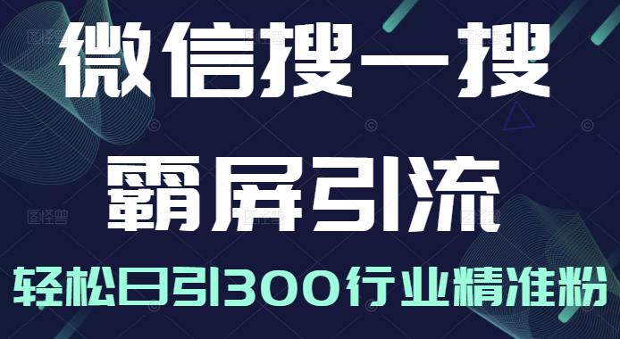 微信搜一搜霸屏引流课，打造被动精准引流系统，轻松日引300行业精准粉【无水印】-天天有课网