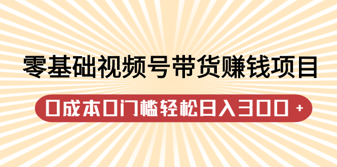 零基础视频号带货赚钱项目，0成本0门槛轻松日入300+【视频教程】-天天有课网