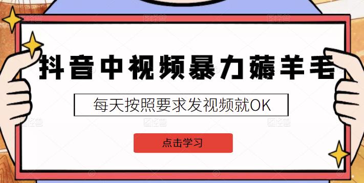 2022抖音中视频暴力薅羊毛白嫖项目：新号每天20块，老号几天几百块，可多号-天天有课网