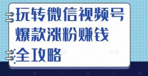 玩转微信视频号爆款涨粉赚钱全攻略，让你快速抓住流量风口，收获红利财富-天天有课网