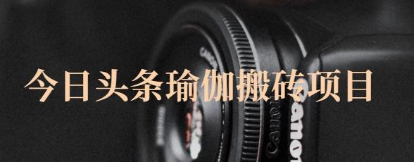 猎人社区·今日头条瑜伽搬砖项目，单号一天几十收入，可以批量操作！-天天有课网