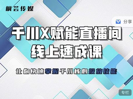 枫芸传媒-线上千川提升课，提升千川认知，提升千川投放效果-天天有课网