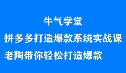 牛气学堂拼多多打造爆款系统实战课，老陶带你轻松打造爆款-天天有课网