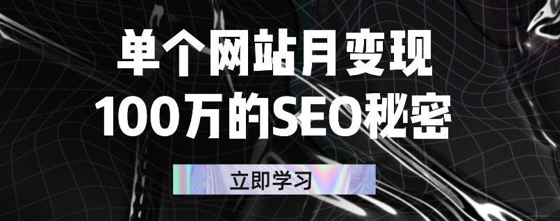 单个网站月变现100万的SEO秘密，百分百做出赚钱站点-天天有课网