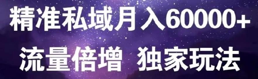 原力网赚精准私域月入60000+,流量倍增独家玩法-天天有课网