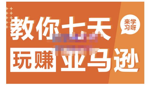 晟尧跨境·教你七天玩赚亚马逊，教你轻松玩赚亚马逊，适合小白学习-天天有课网