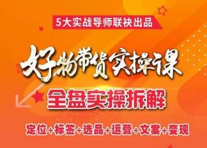 抖音好物带货实操课,全盘拆解抖音好物带货号全套流程打法-天天有课网