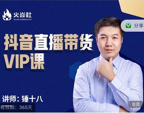 锤十八-抖音直播带货VIP课，专注直播带货有效盈利模式-天天有课网