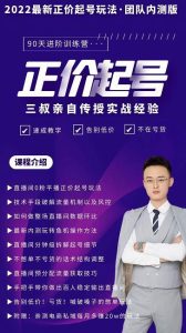 三叔-2022最新正价起号玩法，3小时干货内容，团队内测版-天天有课网