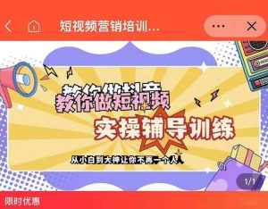 蕊总很忙·短视频营销培训实操课教你快速入门，教你做抖音短视频-天天有课网