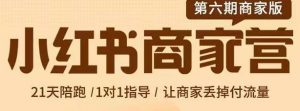 贾真-小红书商家营第6期商家版,21天带货陪跑课,让商家丢掉付流量-天天有课网