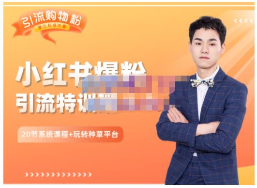 陆明明·小红书爆粉特训班5.0，助你轻松玩转小红书平台价值1380元-天天有课网