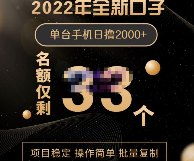 2022年全新口子，手机批量搬砖玩法，一部手机日撸2000+-天天有课网