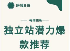 【跨境B哥】独立站潜力爆款选品推荐,测款出单率高达百分之80(每周更新)-天天有课网