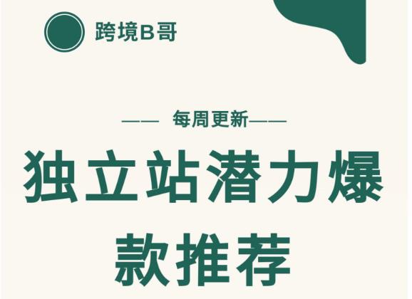 【跨境B哥】独立站潜力爆款选品推荐，测款出单率高达百分之80（每周更新）-天天有课网