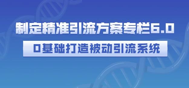 制定精准引流方案专栏6.0，0基础打造被动引流系统-天天有课网