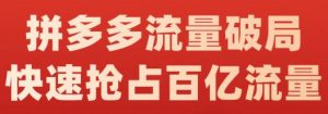 阿杰·拼多多流量破局:如何打黑标，爆款的思路，拼多多流量框架，快速抢占百亿流量-天天有课网