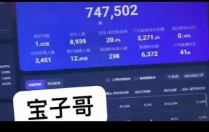 宝子哥无人直播，半无人直播，Obs+伴侣玩法，快速打标签+养鱼-天天有课网