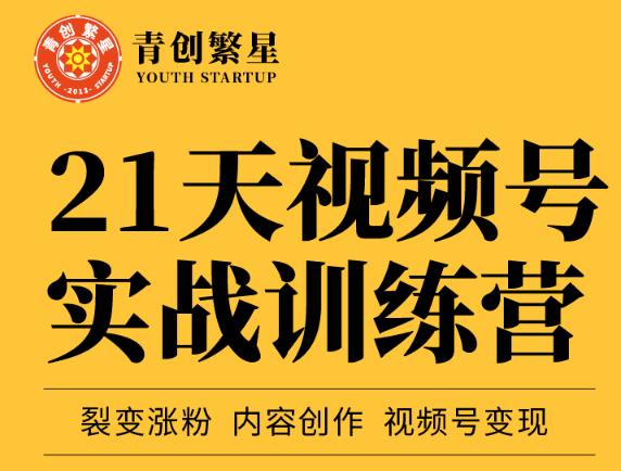 张萌21天视频号实战训练营，裂变涨粉、内容创作、视频号变现 价值298元-天天有课网