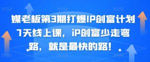 媒老板第3期打爆IP创富计划7天线上课,iP创富少走弯路,就是最快的路!-天天有课网