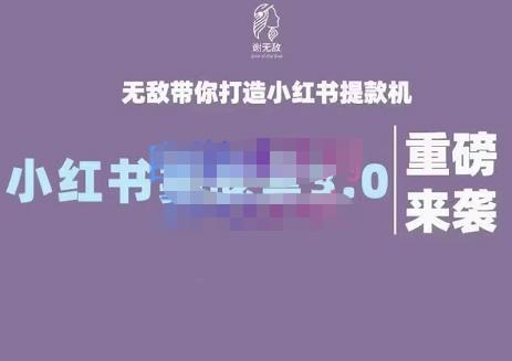 谢无敌·小红书实战营3.0，无敌带你打造小红书提款机 价值7999元-天天有课网