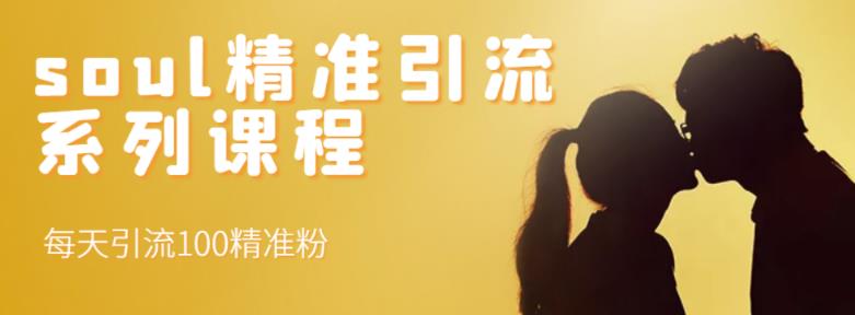 soul精准引流系列课程，每天引流100精准粉-天天有课网